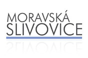 Moravská slivovice